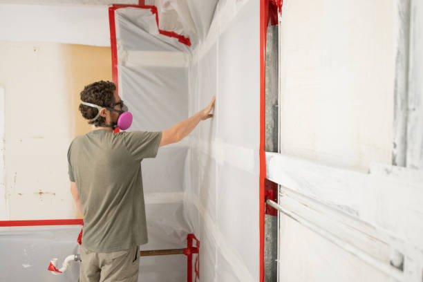 Best Biohazard Mold Removal  in Hebron, KY