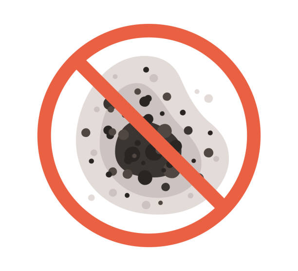  Hebron, KY Mold Removal Pros